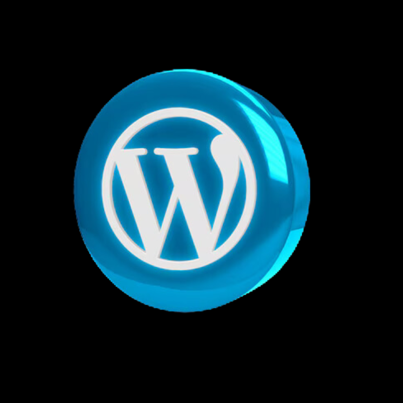 WordPress